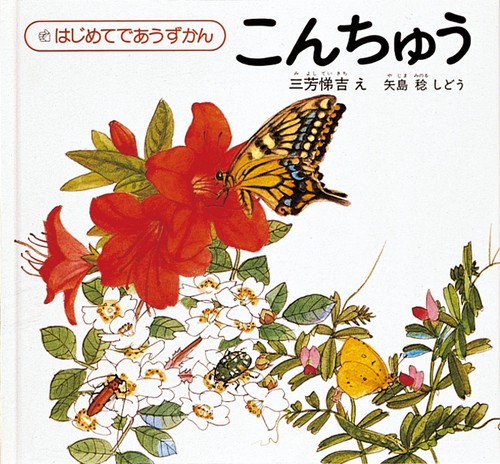 こんちゅう