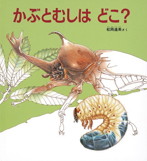 かぶとむしはどこ