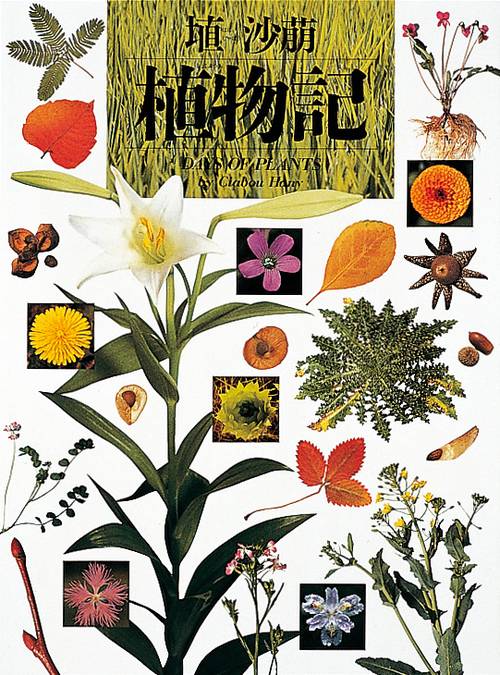埴沙萠 植物記