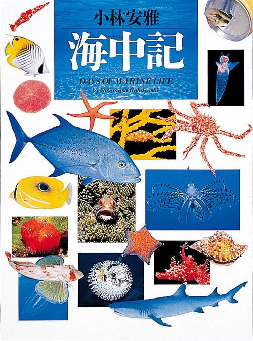 小林安雅 海中記