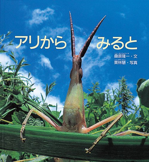 アリからみると