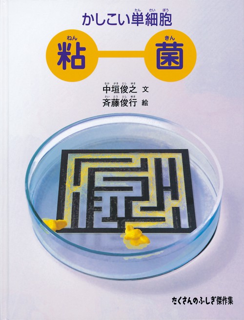 かしこい単細胞 粘菌