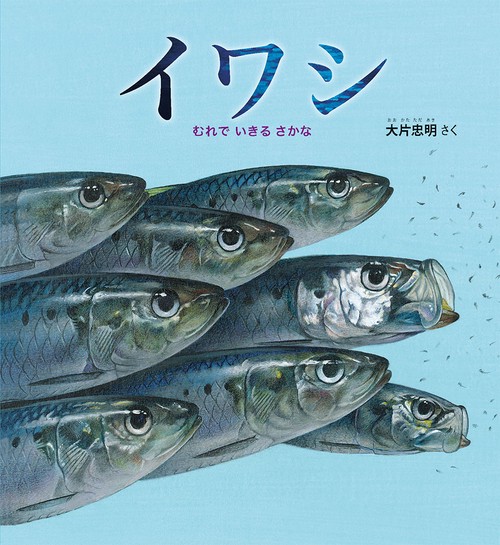 イワシ むれでいきるさかな