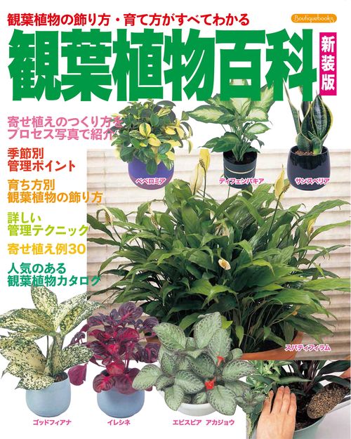 観葉植物百科 観葉植物の飾り方・育て方がすべてわかる