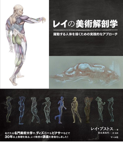 レイの美術解剖学