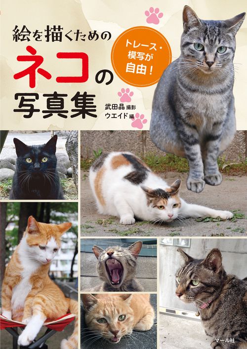 絵を描くためのネコの写真集