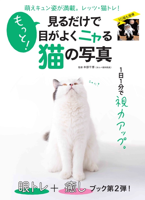 もっと!見るだけで目がよくニャる猫の写真