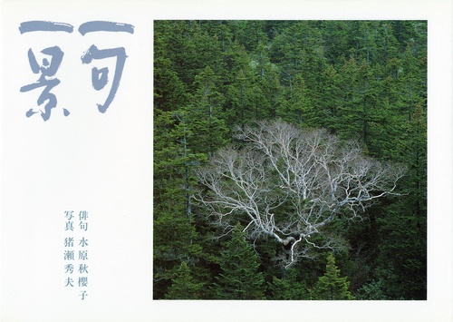 一句一景