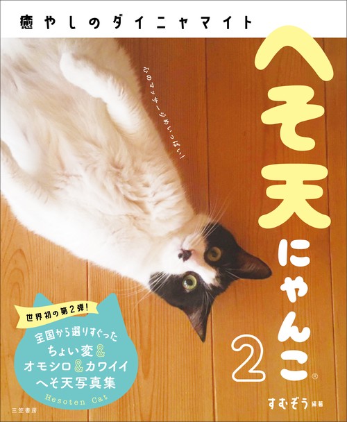 へそ天にゃんこ２