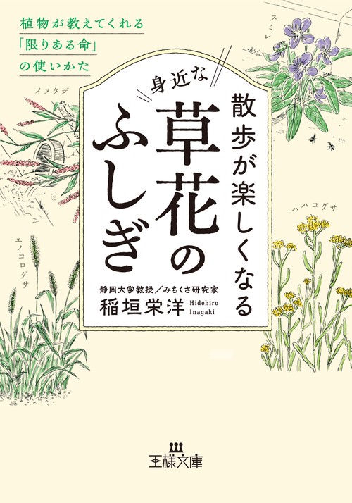 散歩が楽しくなる身近な草花のふしぎ