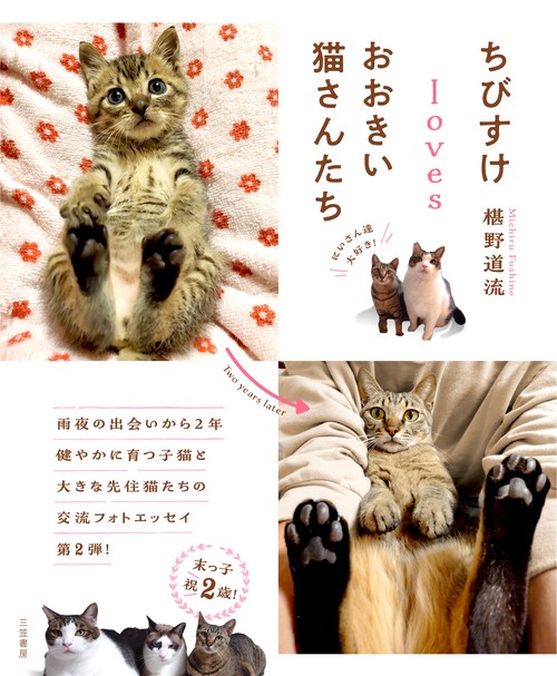 ちびすけｌｏｖｅｓおおきい猫さんたち