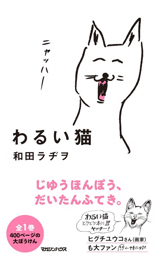 わるい猫