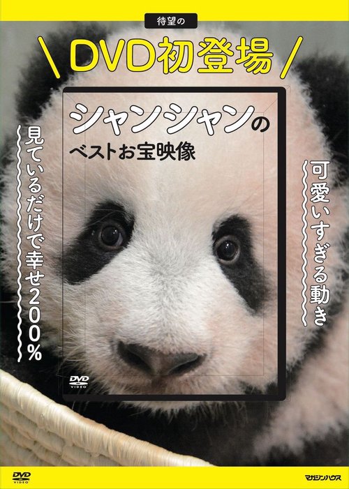 DVD シャンシャンのベストお宝映像