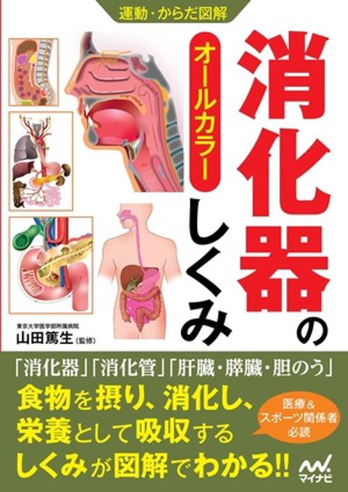 運動・からだ図解 消化器のしくみ