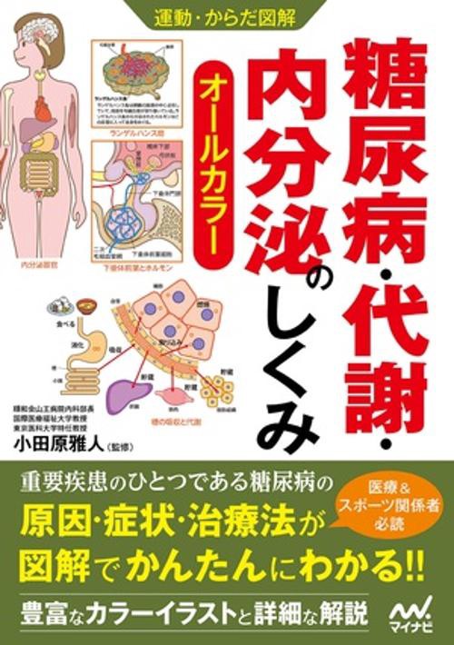 運動・からだ図解 糖尿病・代謝・内分泌のしくみ