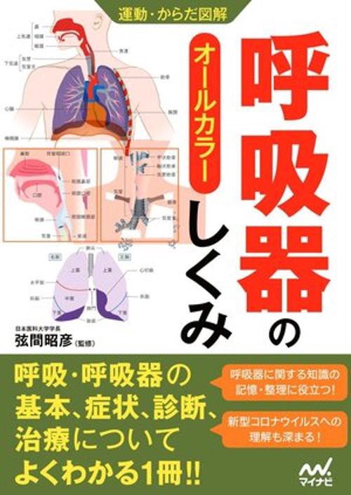運動・からだ図解 呼吸器のしくみ
