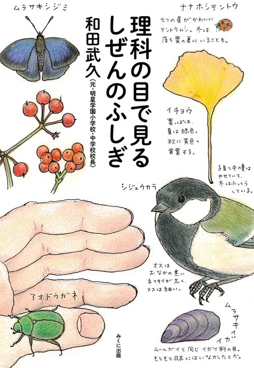 理科の目で見るしぜんのふしぎ