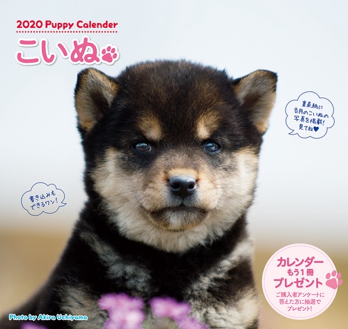 カレンダー '20 こいぬ