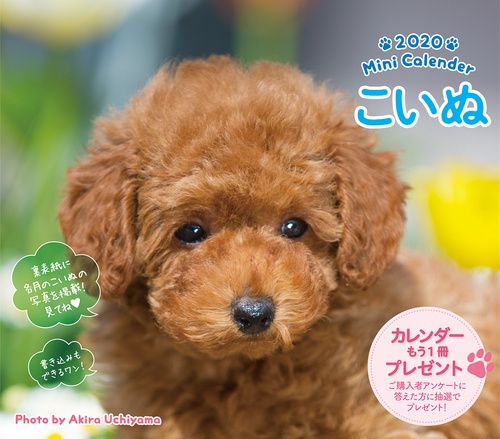 ミニカレンダー '20 こいぬ