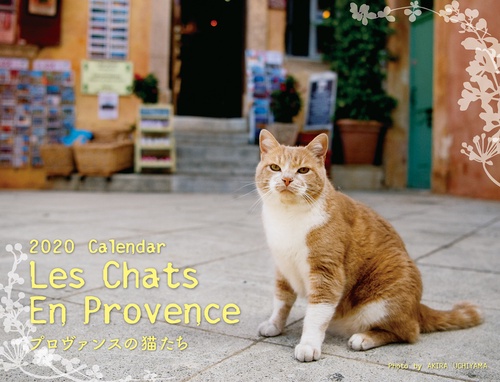 カレンダー '20 プロヴァンスの猫
