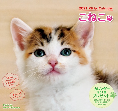 2021こねこカレンダー