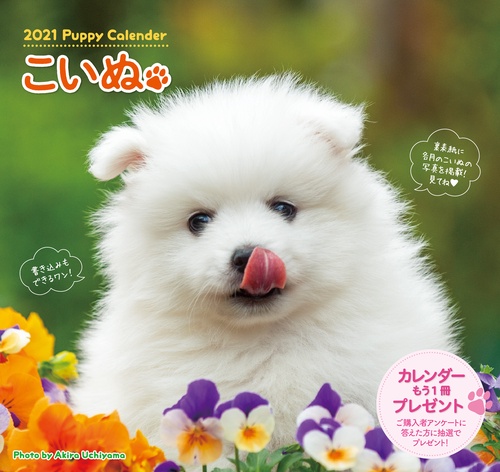 2021こいぬカレンダー