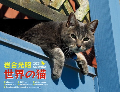 2021岩合光昭　世界の猫カレンダー