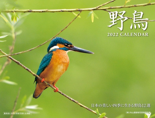 2022 野鳥カレンダー