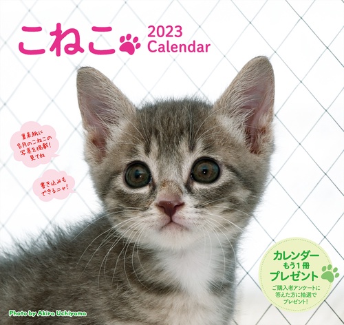 2023 こねこカレンダー