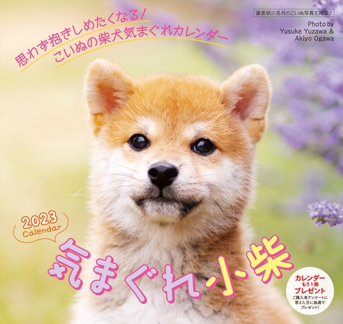 2023 気まぐれ小柴カレンダー