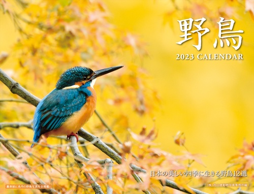 2023 野鳥カレンダー