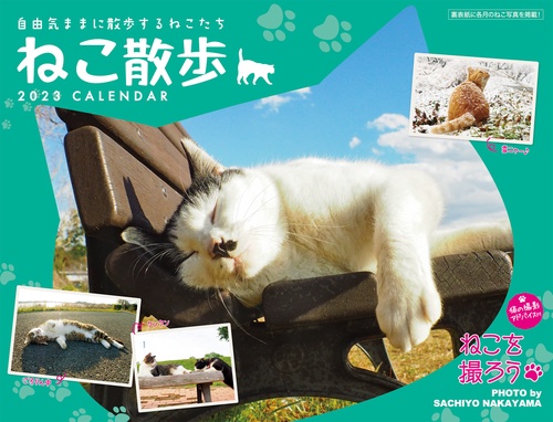 2023 中山祥代ねこ散歩カレンダー