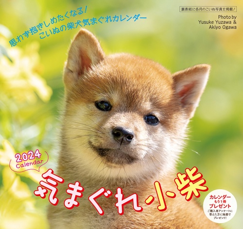 2024 気まぐれ小柴カレンダー