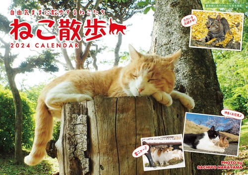2024 中山祥代ねこ散歩カレンダー