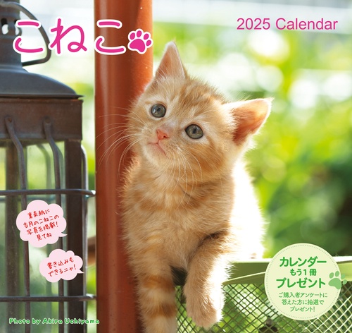2025 こねこカレンダー