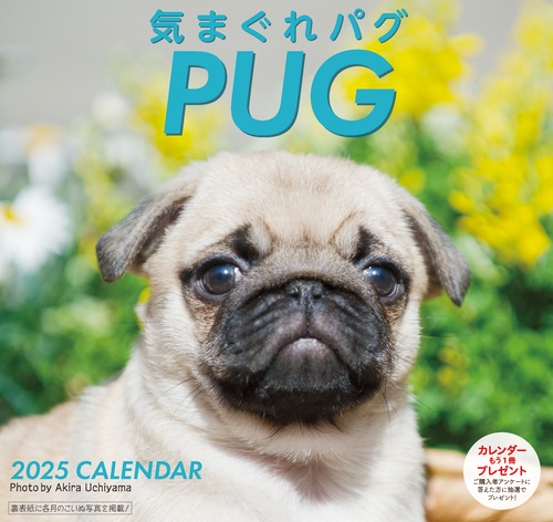 2025 気まぐれ パグカレンダー