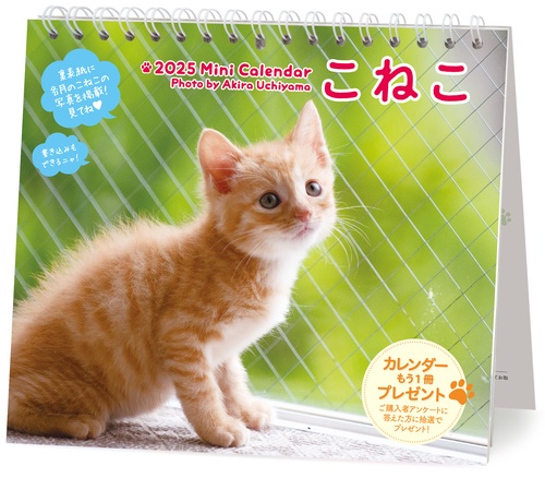 2025 ミニカレンダーこねこ