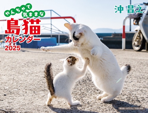 2025 沖昌之 やんちゃで気ままな 島猫カレンダー