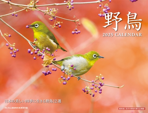 2025 野鳥カレンダー