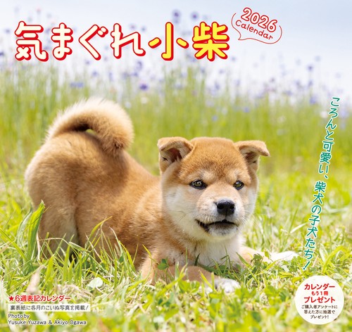 気まぐれ小柴カレンダー 2026