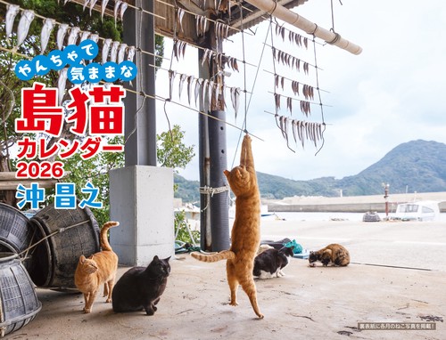 沖昌之 やんちゃで気ままな 島猫カレンダー 2026