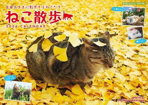中山祥代ねこ散歩カレンダー 2026