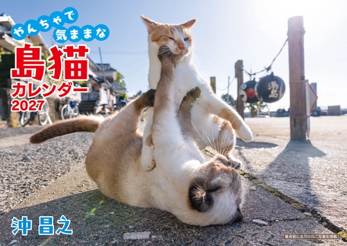 沖昌之 やんちゃで気ままな 島猫カレンダー 2027