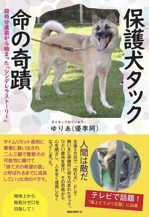 保護犬タック 命の奇蹟