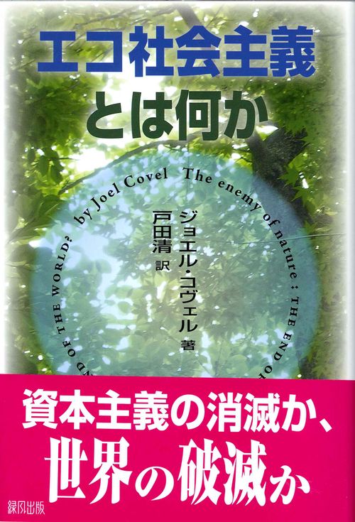 エコ社会主義とは何か