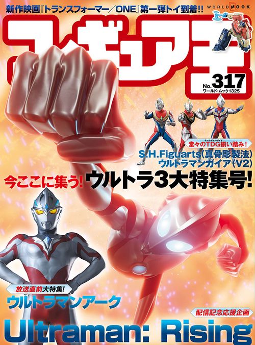 フィギュア王 317