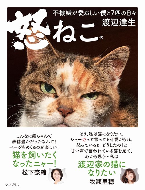 怒ねこ - 不機嫌が愛おしい僕と７匹の日々 -