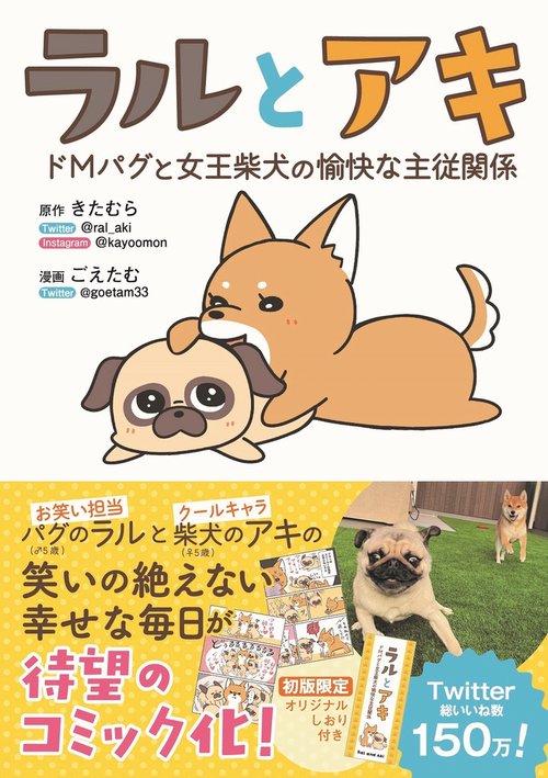 ラルとアキ - ドMパグと女王柴犬の愉快な主従関係 -