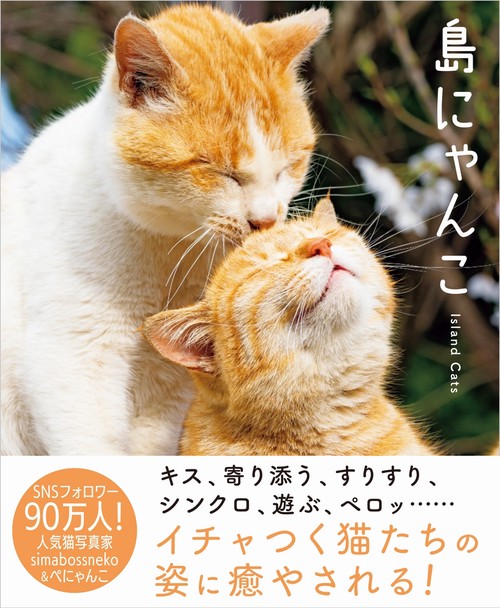 島にゃんこ