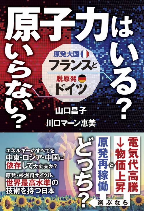 原子力はいる？いらない？原発大国フランスと脱原発ドイツ